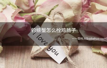 钓螃蟹怎么栓鸡肠子(记住鸡肠一定要钓底)