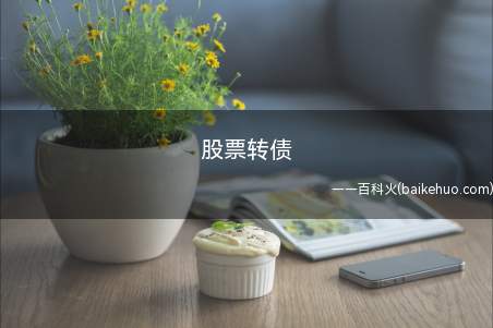 股票转债(股票转债指特殊企业债券)