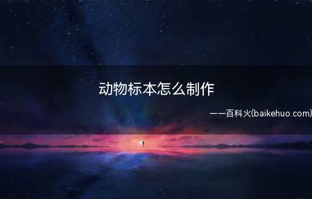 动物标本怎么制作（以螳螂标本的制作方法为例）