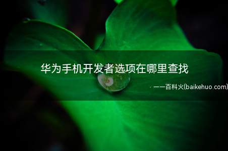华为手机开发者选项在哪里查找(查找华为手机开发者选项)