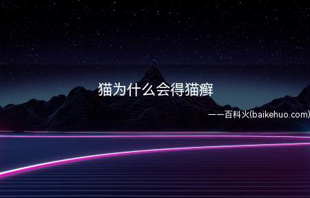 猫为什么会得猫癣(当猫皮肤免疫力下降时,可能会患猫癣)