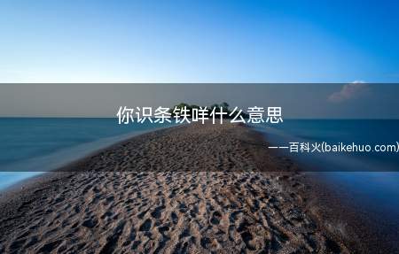 你识条铁咩什么意思（“你识条铁咩”的意思是“你什么都不懂”）