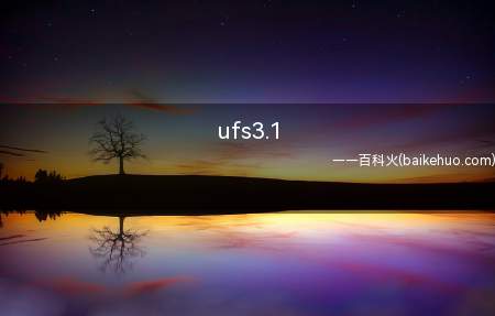 ufs3.1（UFS3）