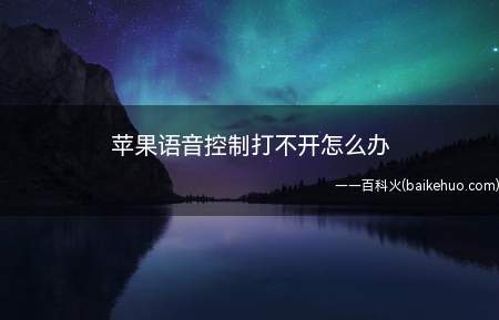 苹果语音控制打不开怎么办(无法使用语音控制的功能)