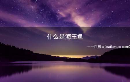 什么是海王鱼(海皇鱼是海里面的一种鱼苗,挺好吃多吃)