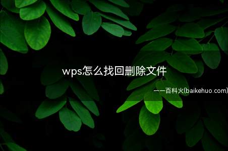 wps怎么找回删除文件(wps中怎么找回删除文件教程)