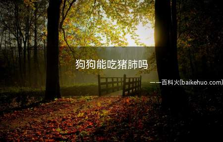 狗狗能吃猪肺吗(狗狗能吃猪肺,但不能长期大量吃,也不能吃生的猪肺)