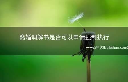 离婚调解书是否可以申请强制执行