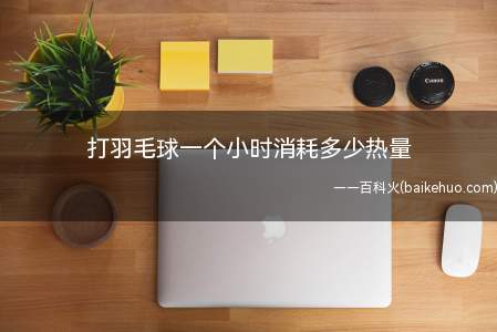 打羽毛球一个小时消耗多少热量