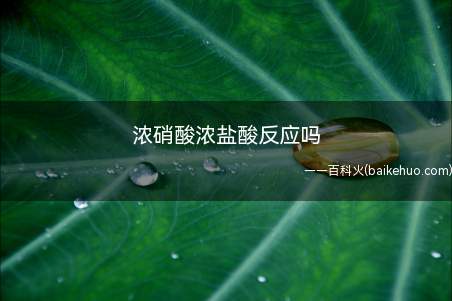 浓硝酸浓盐酸反应吗