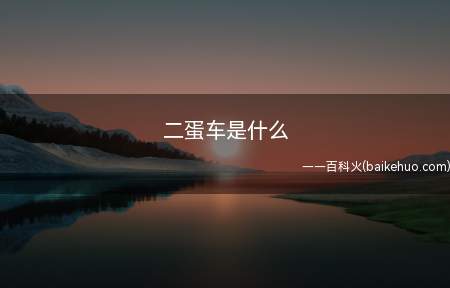 二蛋车是什么