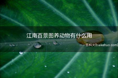 江南百景图养动物有什么用