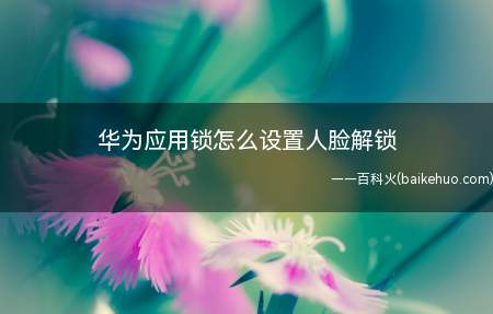 华为应用锁怎么设置人脸解锁