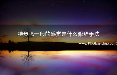 特步飞一般的感觉是什么修辞手法(特步飞一般的感觉是双关的修辞手法)