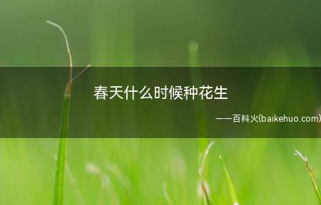 春天什么时候种花生(温度高于15°C可以种植花生,最佳的种植时间)