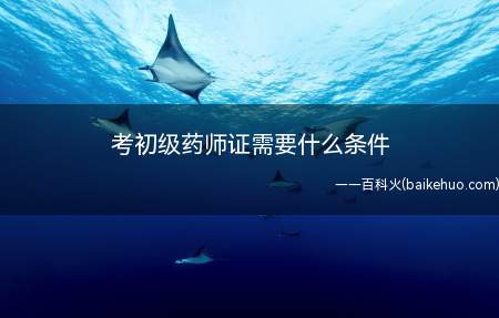 考初级药师证需要什么条件(考初级药师证需要的条件)