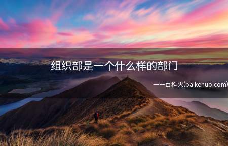 组织部是一个什么样的部门（【组织部工作内容|干部教育是做什么的】）