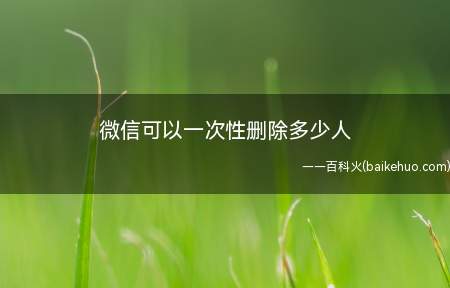 微信可以一次性删除多少人(微信好友怎样删除能不能一下删除多个好友)