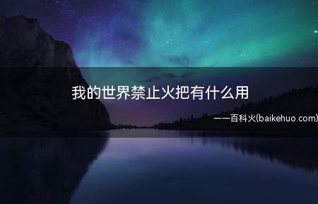 我的世界禁止火把有什么用