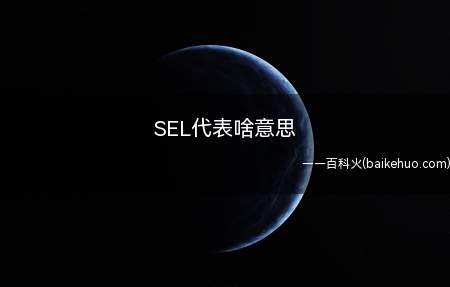 SEL代表啥意思(汽车仪表盘上SEL采用简写形式)