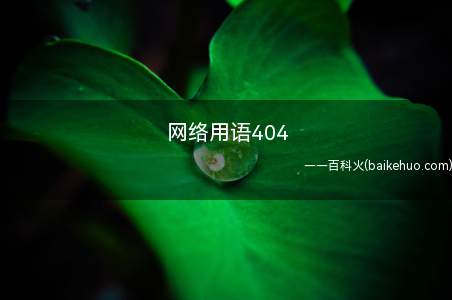 网络用语404(出现404页面的作用介绍)
