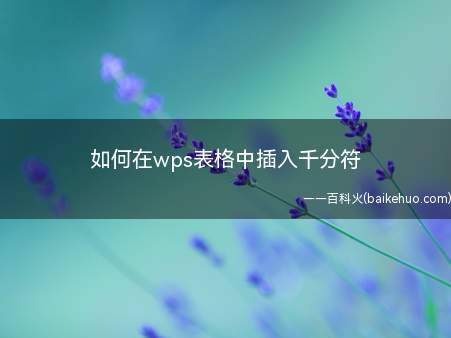 如何在wps表格中插入千分符