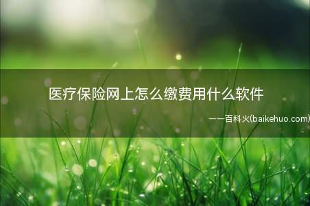 医疗保险网上怎么缴费用什么软件(HUAWEIMate40Pro 系统)