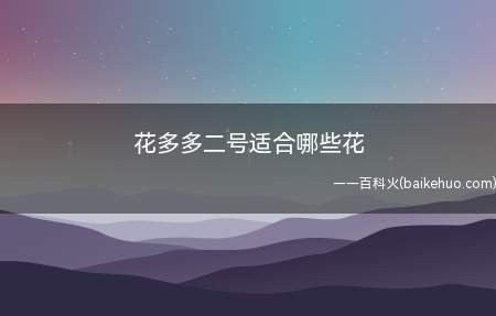 花多多二号属于高磷钾肥,能促进开花,适合大多数的花卉植物