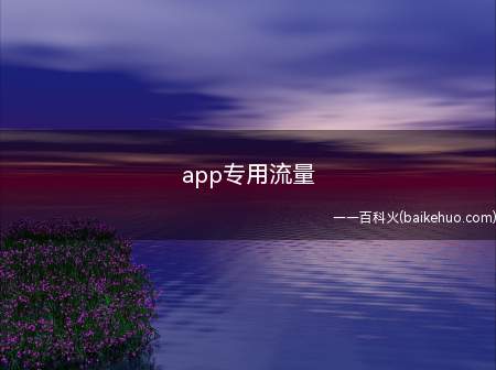 app专用流量(专用流量是指有一定限制的流量)