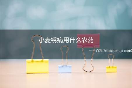 小麦锈病用什么农药(小麦锈病用15%粉锈宁可湿性粉剂)