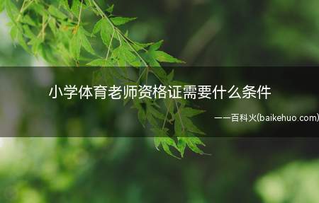 小学体育老师资格证需要什么条件(报考小学体育教师资格证要具备以下条件)