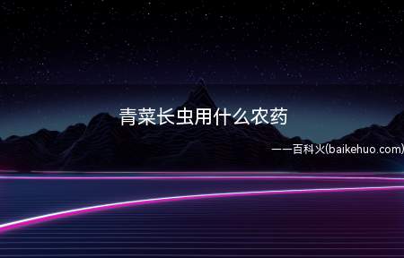 青菜长虫用什么农药(蚜虫、白粉虱,可喷洒10%吡虫啉可湿性粉剂)