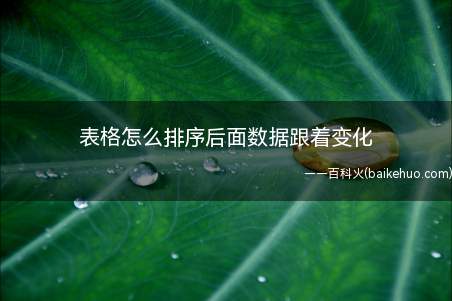 表格怎么排序后面数据跟着变化