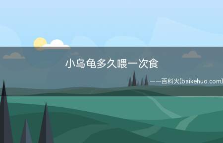 小乌龟多久喂一次食（成年小乌龟可以间隔一到两天喂食一次）