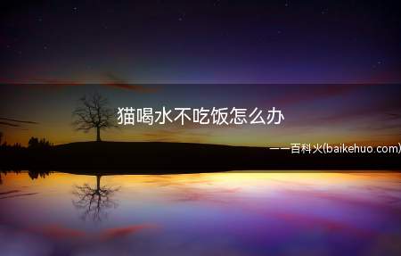 猫喝水不吃饭怎么办(猫粮是否有变质的情况出现)