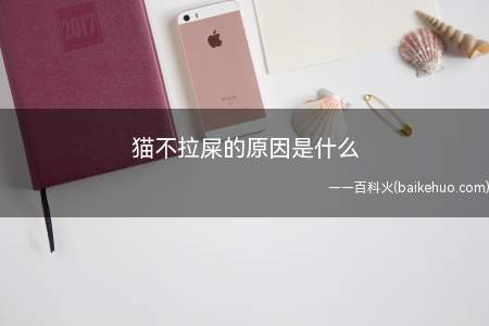 猫不拉屎的原因主要就是考虑猫咪是否有出现便秘,便秘的情况可能