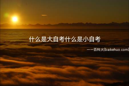 什么是大自考什么是小自考