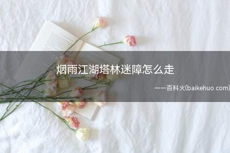 烟雨江湖塔林迷障怎么走
