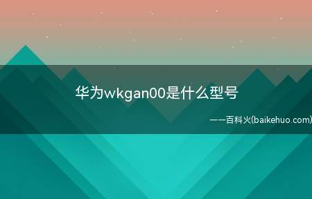 华为wkgan00是什么型号(华为wkgan00是什么型号华为畅享20为例适用于EMUI)