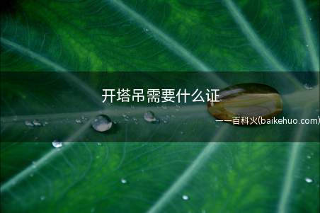 开塔吊需要什么证(开塔吊需要塔吊特种作业资格证)