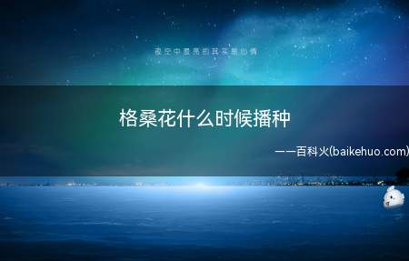 格桑花什么时候播种(播种格桑花最好是在春季进行)
