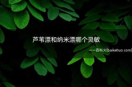 芦苇漂和纳米漂哪个灵敏