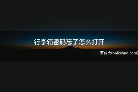 行李箱密码忘了怎么打开(把密码搞忘记了怎么办)