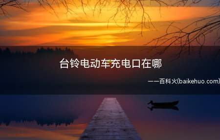 台铃电动车充电口在哪(台铃电动车充电口最常见的位置)