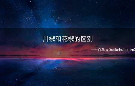 川椒的味道是麻香,它具有芳香健胃,温中散寒,除湿止痛等功效
