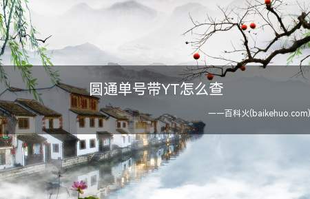 圆通单号带YT怎么查(圆通的快递单号查询方法)