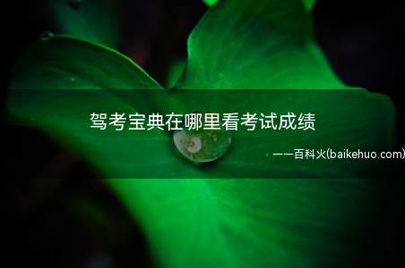 驾考宝典在哪里看考试成绩(交通安全综合服务管理平台)