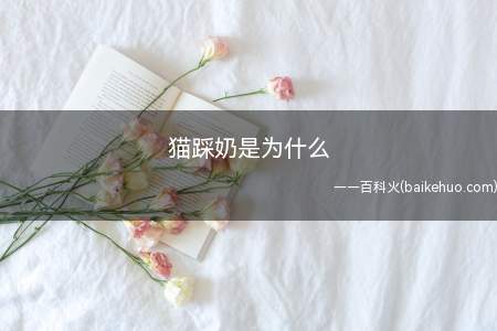 猫踩奶是为什么（猫咪对环境感觉到舒适、安全时做出的行为）