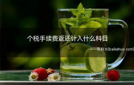 个税手续费返还计入什么科目(个人所得税手续费退回,不支付给申报人员。)