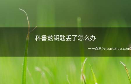 钥匙丢了可以先使用备用钥匙,但最好尽快到4S店或者修理厂重新